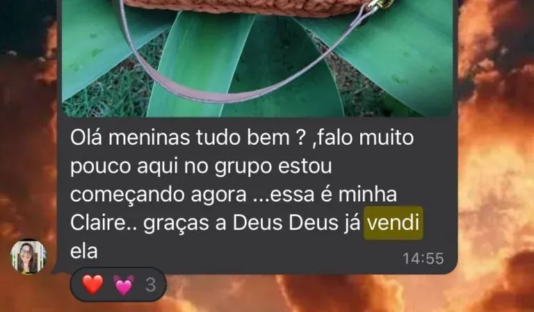 Print WhatsApp — depoimento de aluna